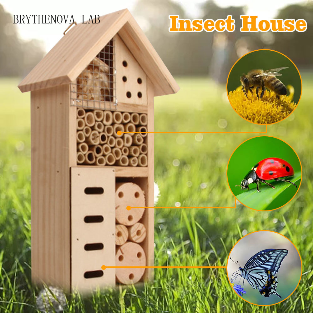 Insect Hotel Wood - Hotel de Insetos de Madeira, Habitat
