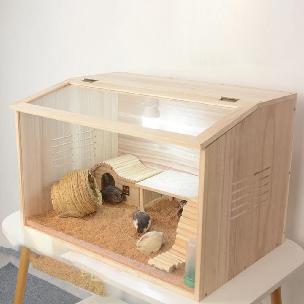 Insect Hotel Wood - Caixa de chocadeira de frango casa