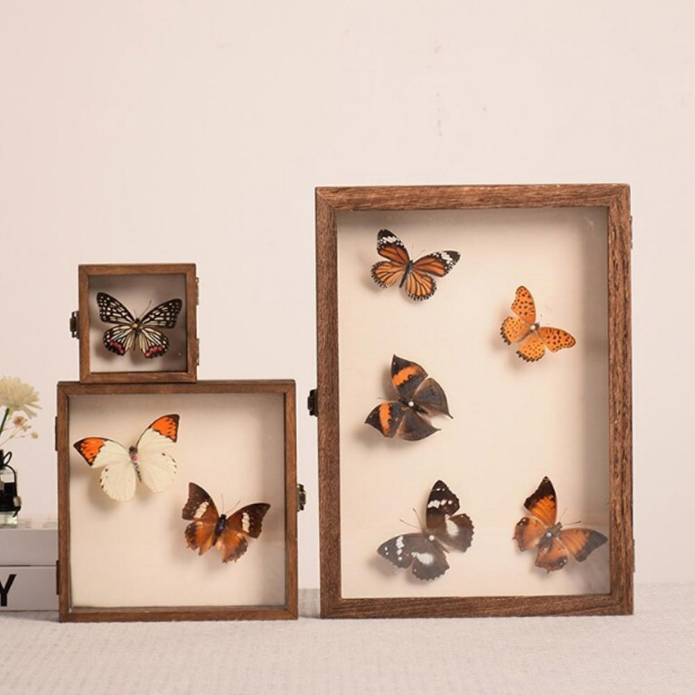 Vitrine de madeira borboleta s - Insect Hotel Wood avaliação e preço