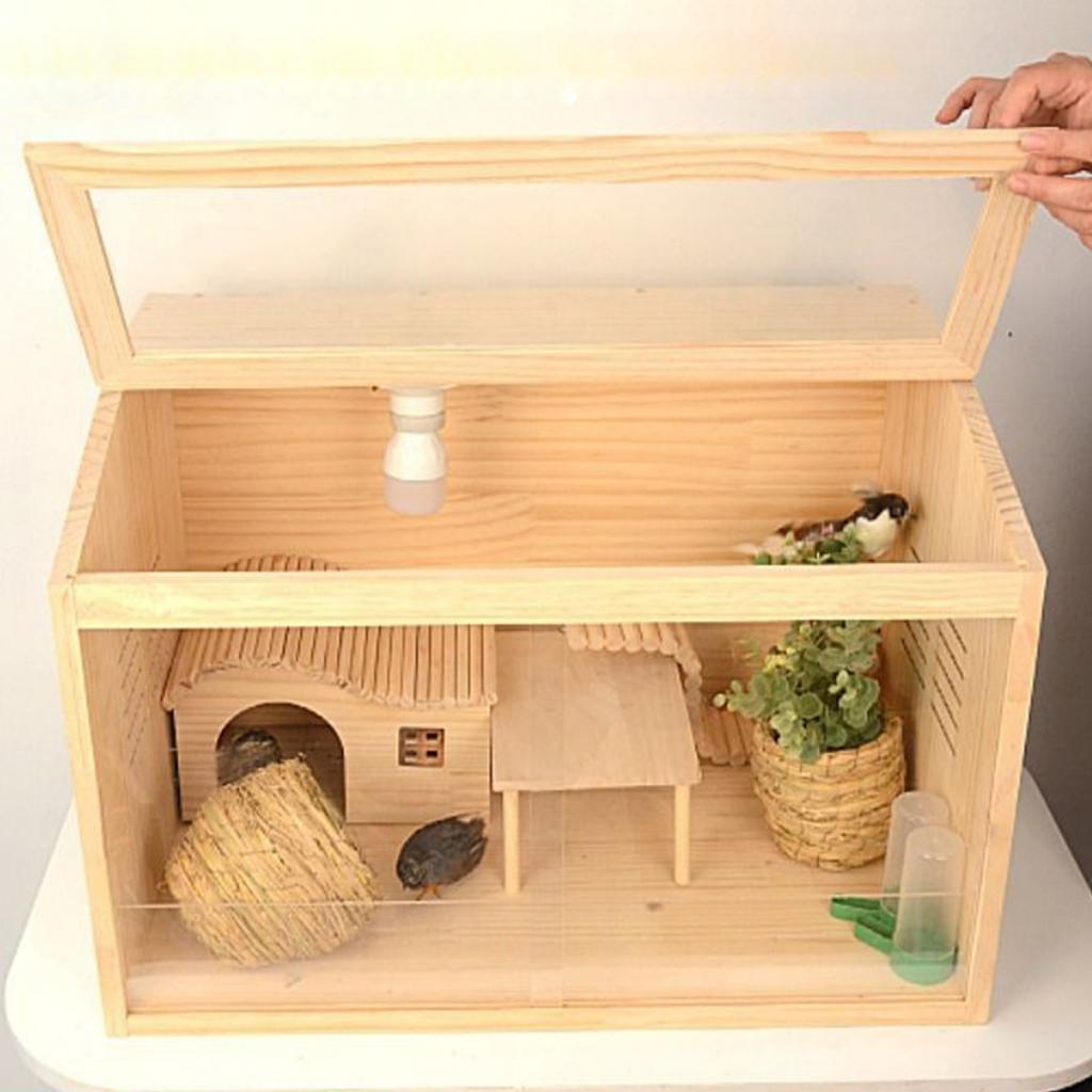 Caixa de chocadeira de frango  - Insect Hotel Wood avaliação e preço